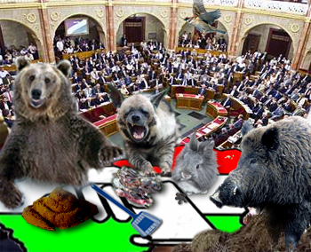 Állatkerti Választások