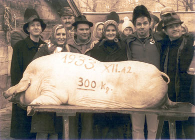 Vitéz László és a Többiek a stúdió után