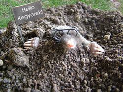 A zászlóra írtad: Helló kisgyerek!